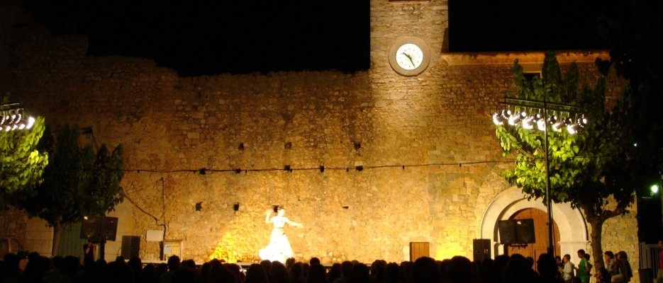 VIU FESTA I TRADICIONS